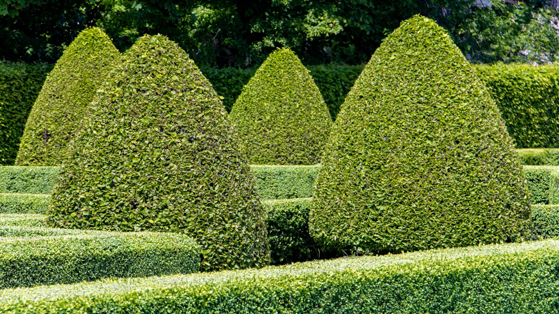 Gardening Services
