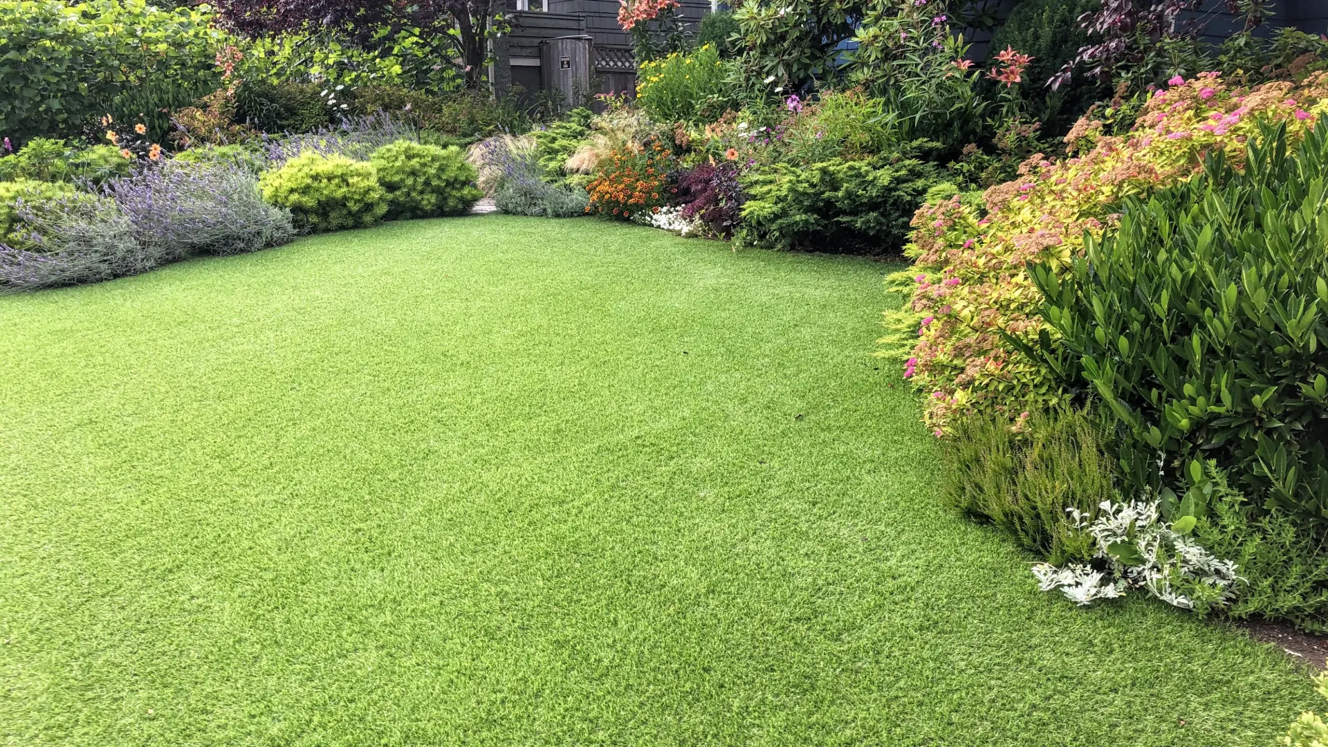 Artificial Grass