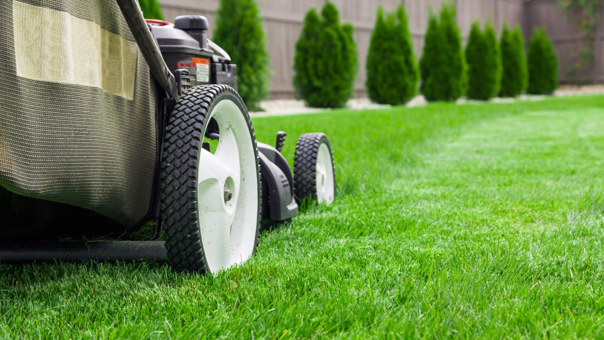 Lawn Mowing