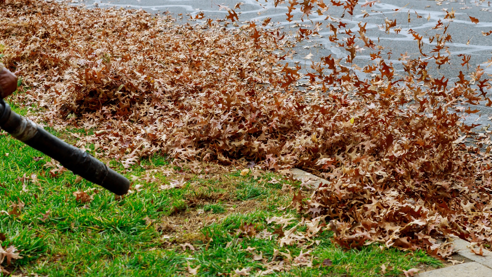 Leaf blowing